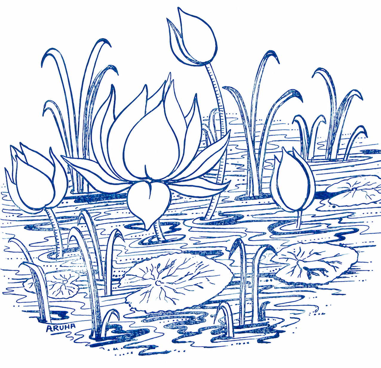Water Lillies
